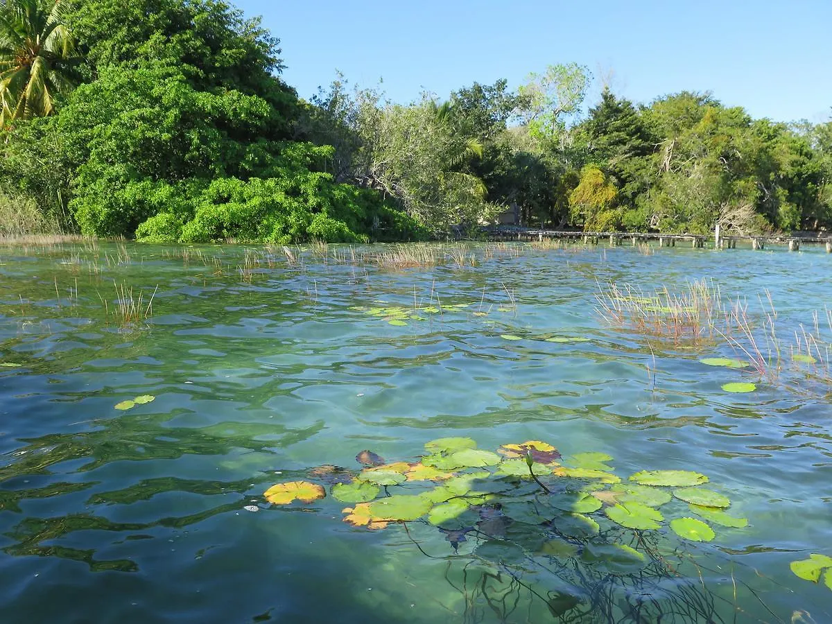 Amigos Hotelito Bacalar Guest house